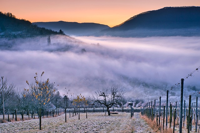 Argentina’s red valleys in late light with vineyards and empty roads stretching out