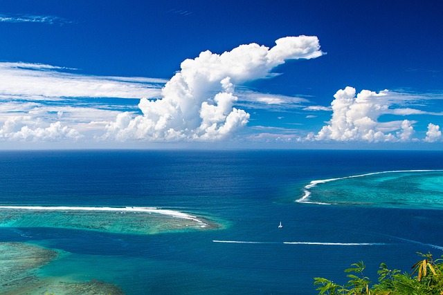 Australian reef haven where island elegance and warm-water ease meet
