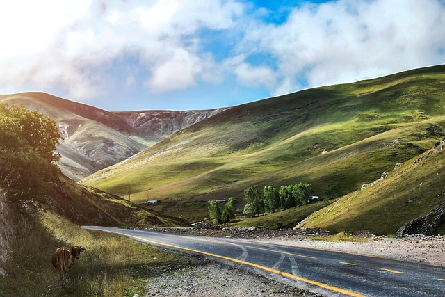 Balkan river valleys where green slopes and empty roads quiet the body