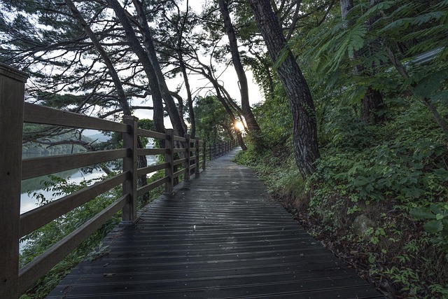 Costa Rican nature sanctuary where jungle breeze meets healing quiet