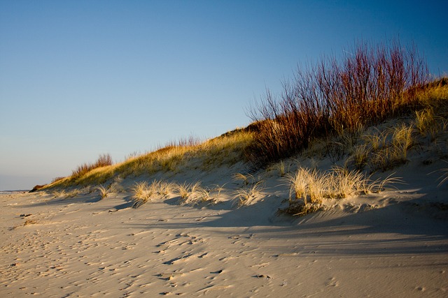 Curonian dune sanctuary shaped by wind, distance, and meditative silence