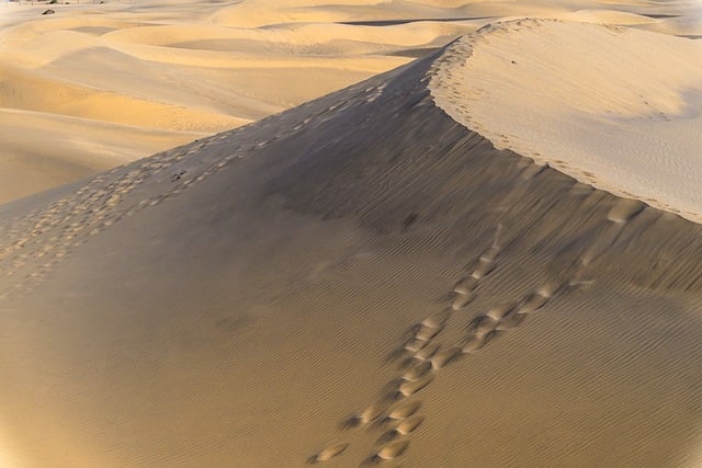 Danish dune refuge where simplicity and horizon space do the work