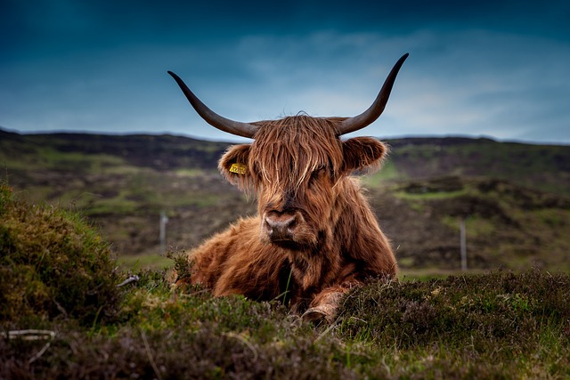 Highland retreat in Scotland where moorland stillness outlasts the day