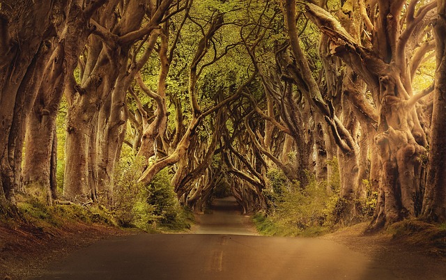 Ireland under Atlantic weather, green roads turning almost cinematic