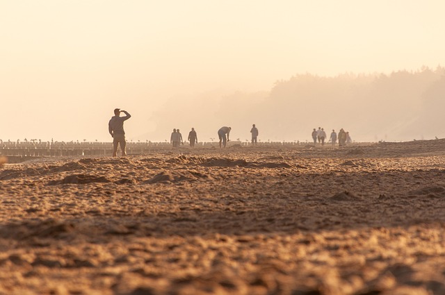 Korean coast sanctuary offering horizon clarity and polished simplicity