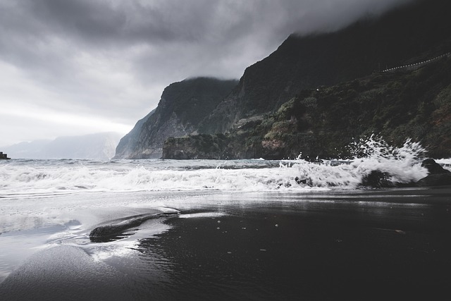 Madeira by cliff road, all flowers, ocean light, and impossible turns