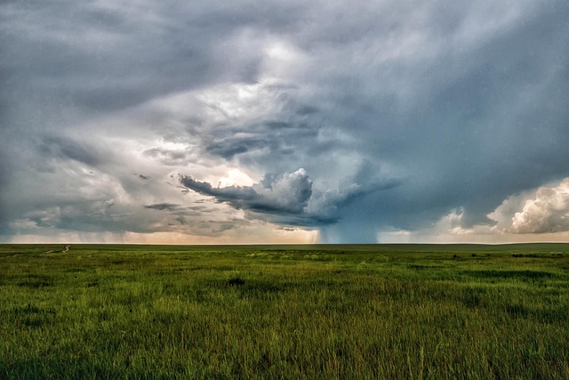 Mongolia beneath enormous sky, every horizon making the mind quieter