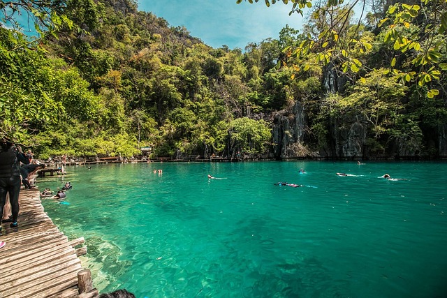 Palawan lagoon haven defined by limestone beauty and water-bright stillness