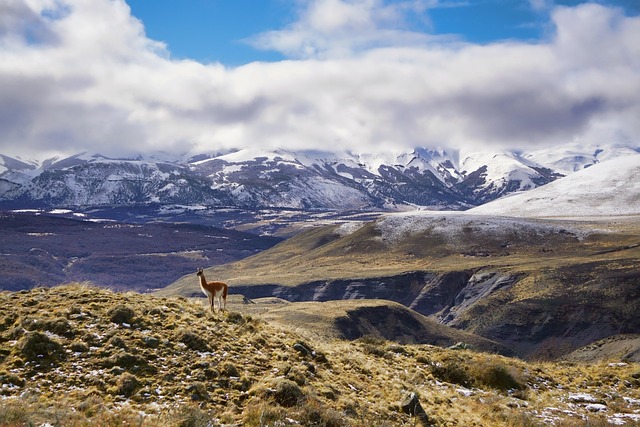 Patagonia Scenic Residence with Vast Space and Architectural Restraint