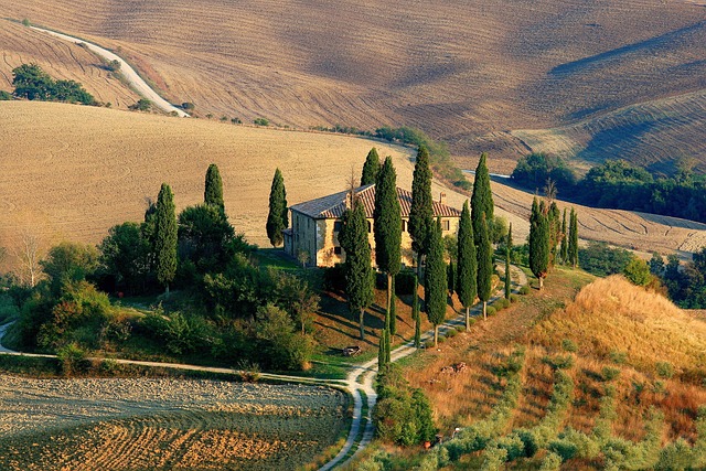 Tuscany when cypress shadows stretch and the roads forget to rush