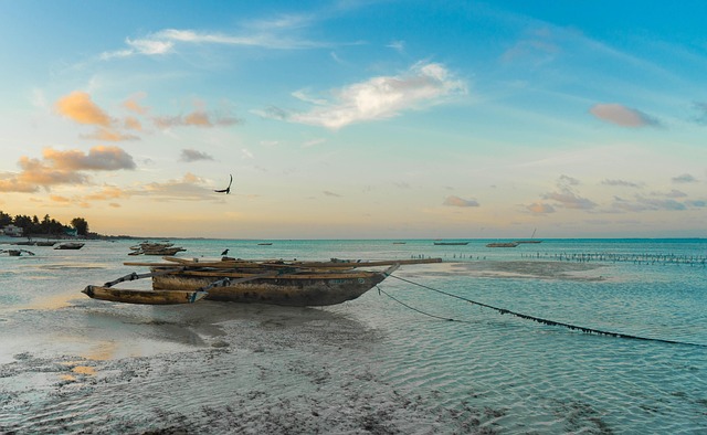 Zanzibar island hideaway where spice air and bright water lead the mood