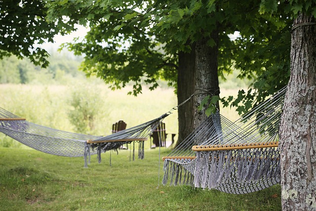 Belgium Countryside Resorts for Quiet Escapes