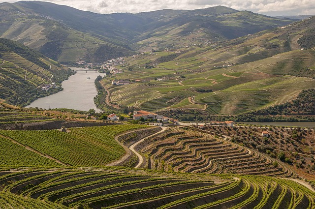 Budget Homestays in Portugal for Smart Trips