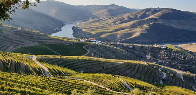 Douro Valley Glamping for Wine Travel