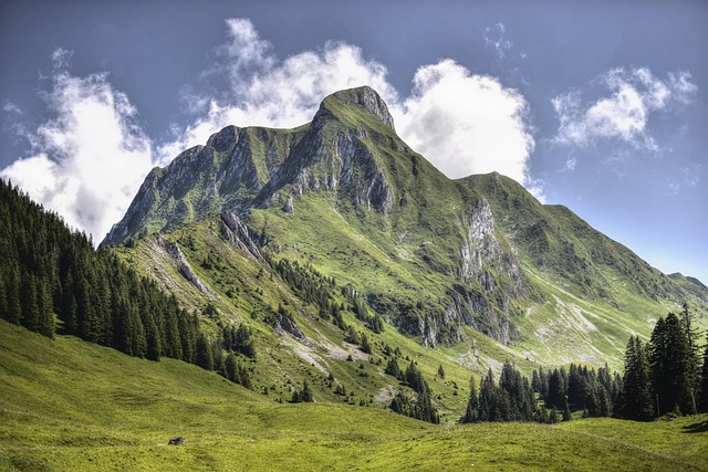 Family Lodges in Switzerland for Easy Holidays
