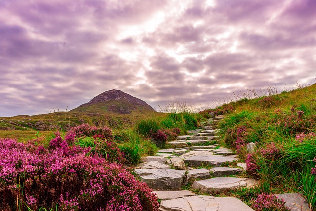 Ireland Countryside Resorts for Peaceful Stays