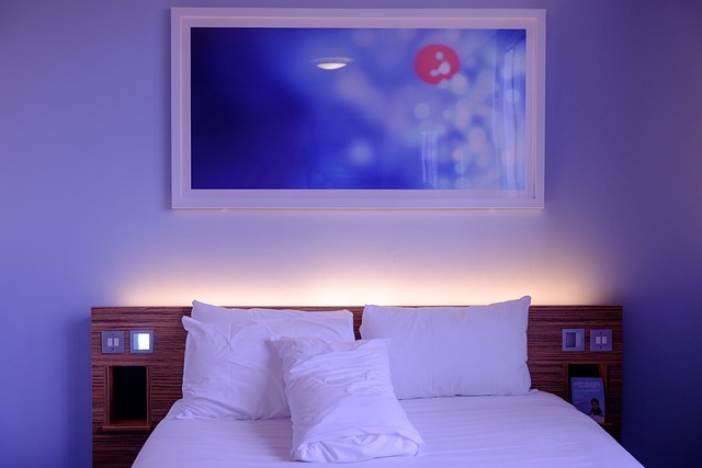 Luxury Hotels in Monaco for Elegant Stays
