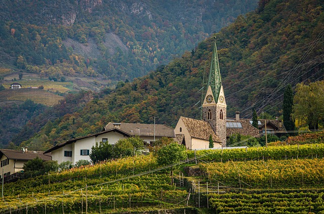 Portugal Hotels Near Scenic Vineyards