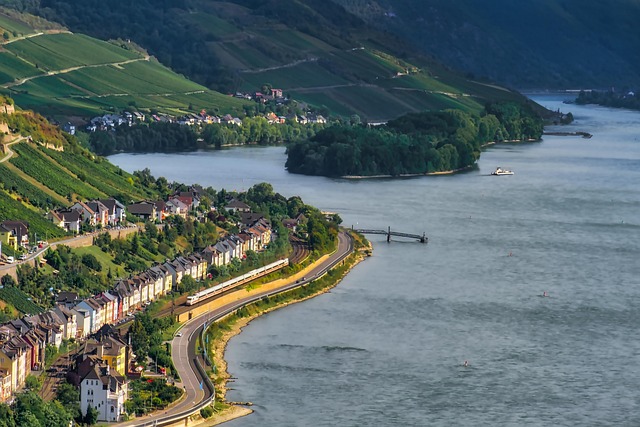 Rhine Valley Homestays for Slow Travel