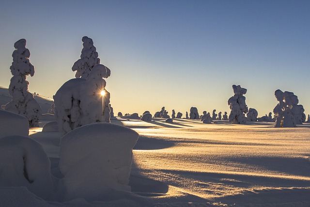 Lapland Homestays for Snowy Days