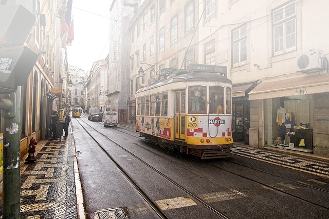 Lisbon Homestays for Hill Streets