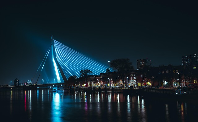 Rotterdam Homestays for Modern Travel