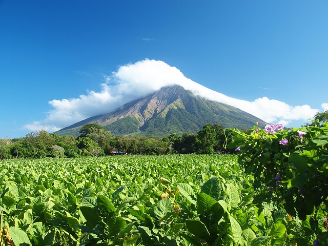 Living Locally in León Nicaragua