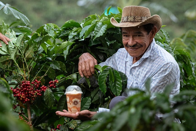 My Colombian Coffee Country Lodge