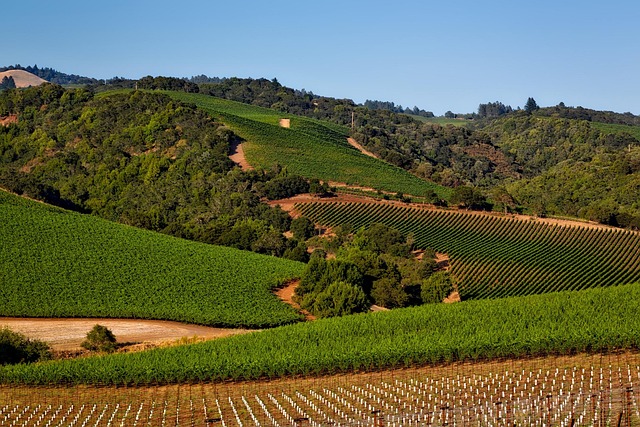 My Sonoma Countryside Villa Weekend